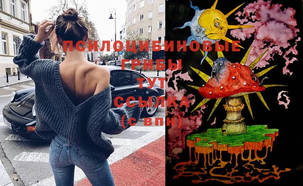 эйфоретик Зеленокумск